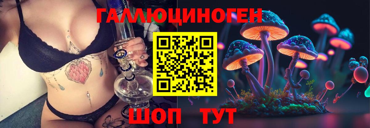 Галлюциногенные грибы Psilocybine cubensis Нягань